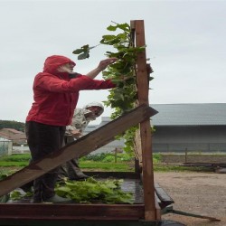 Opbouw Wagen in de regen - Toneelvereniging Plankenkoorts 